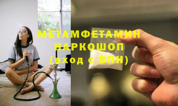 шишки Гусев