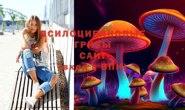 мет Горно-Алтайск