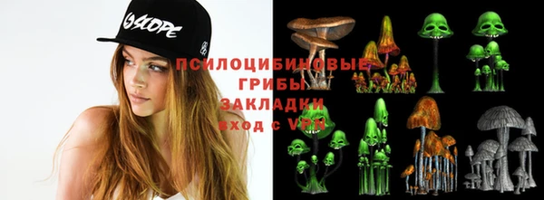шишки Гусев