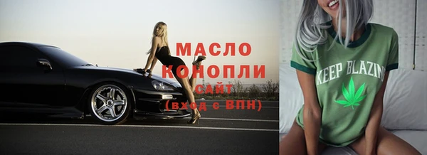шишки Гусев