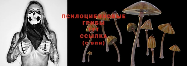 PSILOCYBIN Горнозаводск