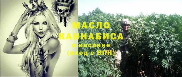 шишки Гусев