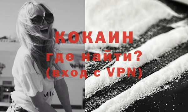мяу мяу мука Гусь-Хрустальный