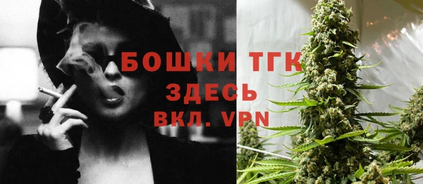 мяу мяу мука Гусь-Хрустальный