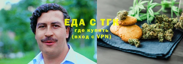 шишки Гусев