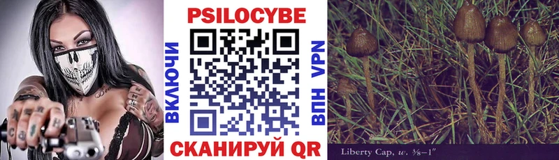 Псилоцибиновые грибы Magic Shrooms  Купить где  Тюкалинск 